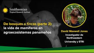 De bosques a fincas (parte 2): la vida de mamíferos en agroecosistemas panameños