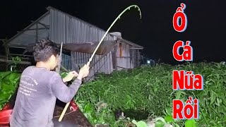 Câu Cá Ổ Trong Bãi Cỏ Hoang - Quá Trời Cá To Rồi Và Cái Rộng Thần Kì | Câu Cá Ổ T579