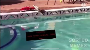 Yodnam Lastidolth Has Fallen Into Something