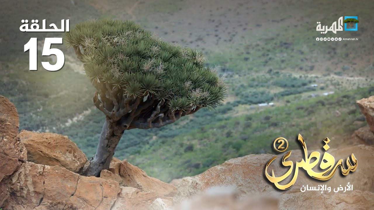 جزيرة سقطرى.. كنز من الثروة النباتية النادرة | سقطرى الأرض والإنسان2 | الحلقة 15
