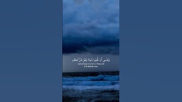 ‏﴿ وَعَسَى أَنْ تَكْرَهُوا شَيْئًا وَهُوَ خَيْرٌ لَكُمْ ﴾ القارئ محمد هشام 💙