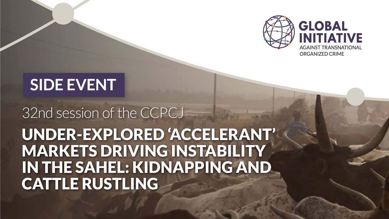 Under-explored ‘accelerant’ markets driving instability in the Sahel ...