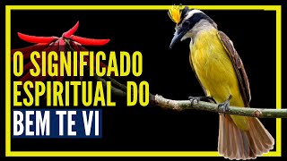 o presságio do bem te vi  - SIGNIFICADO espiritual do bem te vi