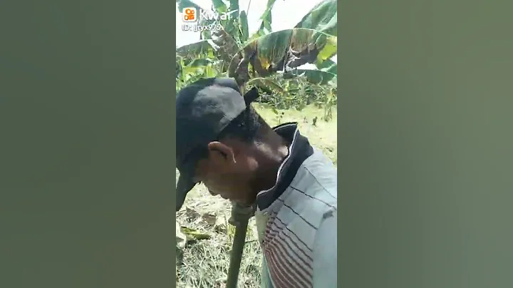 asi soy yo