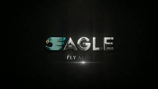 EAGLE LOGO ANIMATION CUSTOM MADE LOGO
