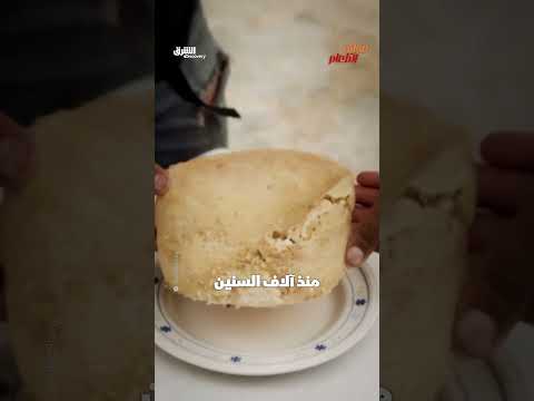 كاسو مارزو: جبن إيطالي خطر يتضمن يرقات حية