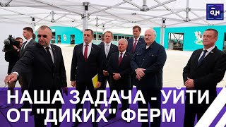 ⚡️Лукашенко: ЗА ВОЛОКИТУ ОТВЕТИТЕ! Президент посетил роботизированный молочно-товарный комплекс