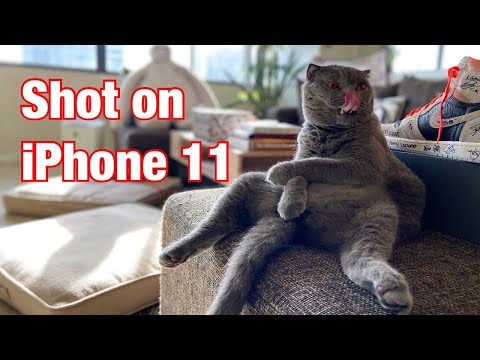 IPHONE 11 CAMERA REVIEW: NIGHT MODE, PORTRAIT, ULTRA WIDE!