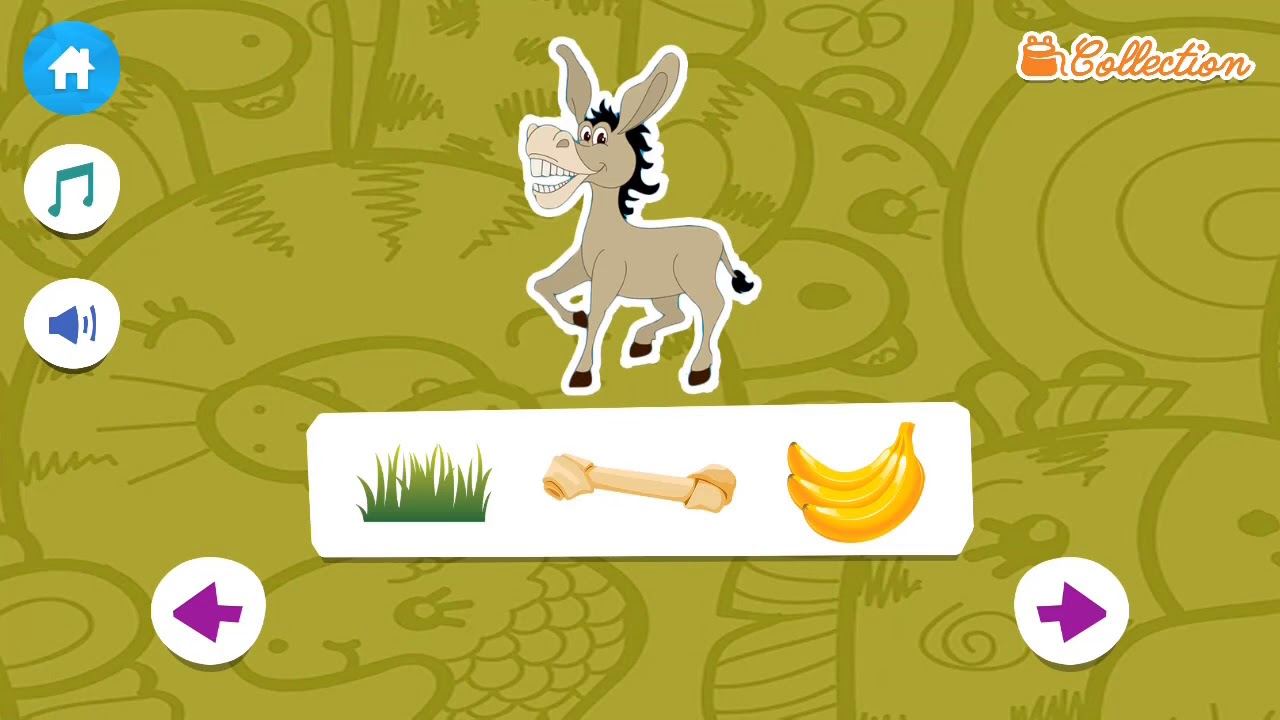 Animal Feeding for Kids - Bluesun Games