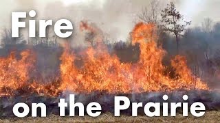 Fire on the Prairie