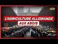 Les agriculteurs allemands unis contre le gouvernement ; Trump visé par la justice | NTD L’Actu