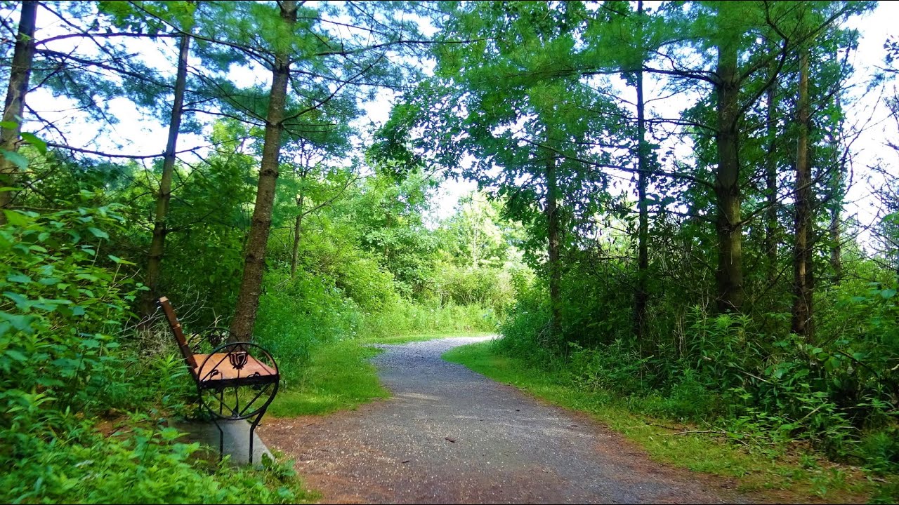 LYNDE SHORES CONSERVATION AREA 2, July 23, 2020 - YouTube