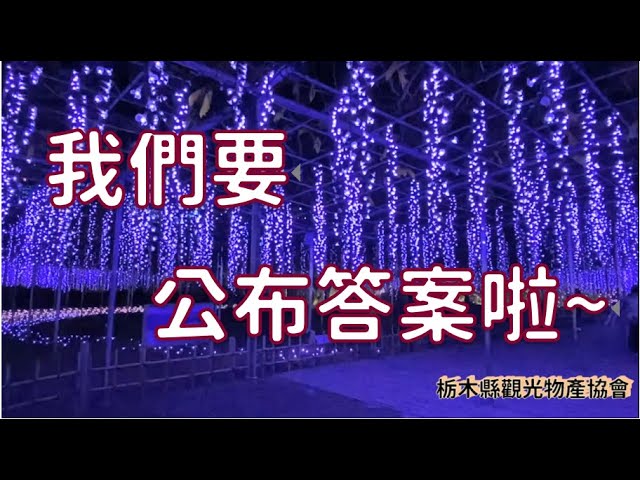 足利花卉公園 Flower Fantasy 光之花庭園 小編要公布答案啦 Youtube 足利花卉公園 Flower Fantasy 光之花庭園 小編要公布答案啦 Youtube