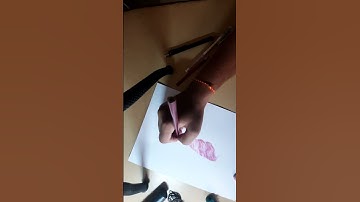 Colorful feather using color pencils