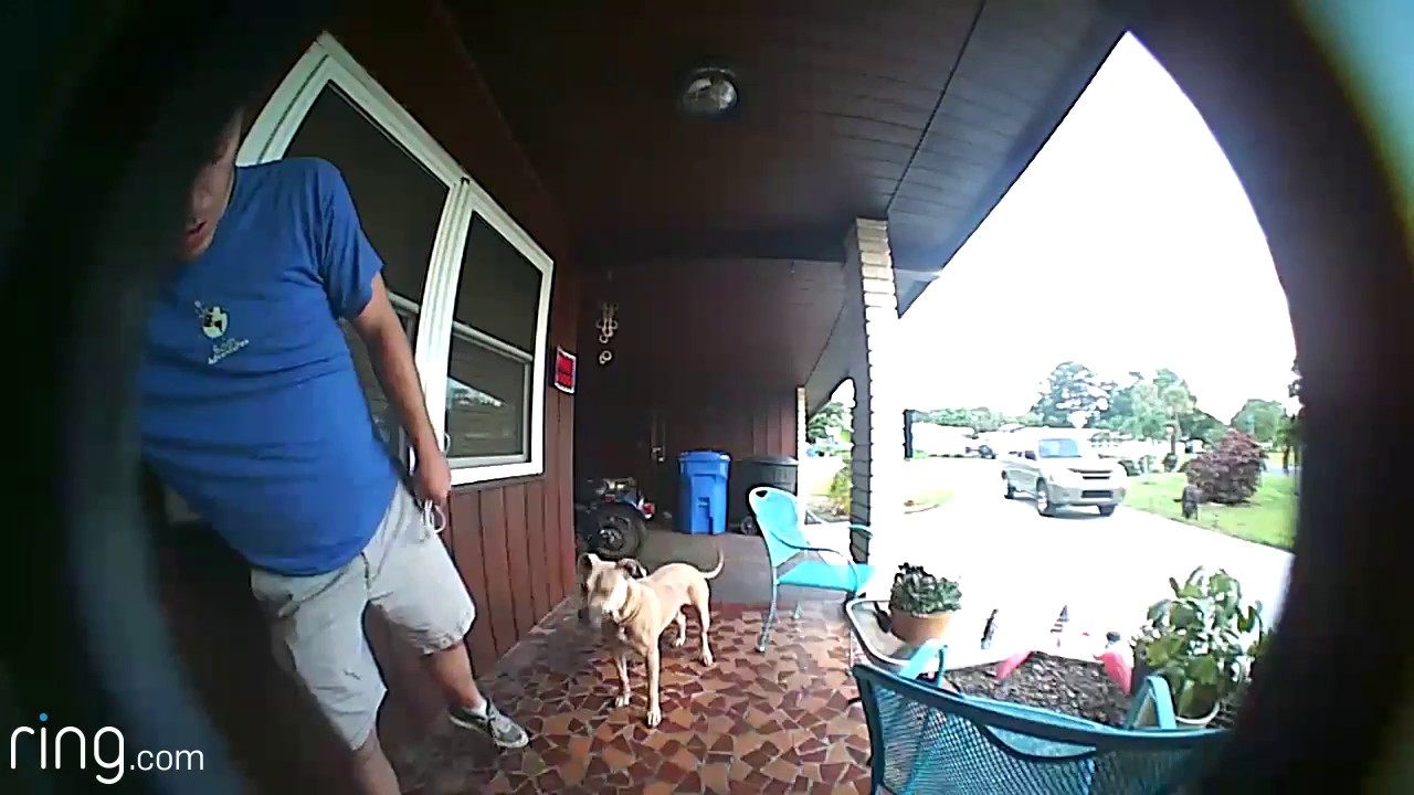 Funny Ring Videos 2025