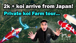 100acre Japanese Koi Farm  Private tour!