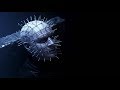 Regarder Hellraiser: Judgment 2018 en Streaming Complet VF