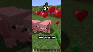Guess the Minecraft mob in 60 seconds 13