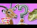 What Is It? + More | Mother Goose Club and Friends