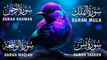 تلاوت آرامش بخش | سوره ملک | سوره رحمن | سوره یس | سوره واقعه | آیاتی نورانی برای تسکین قلب و روح
