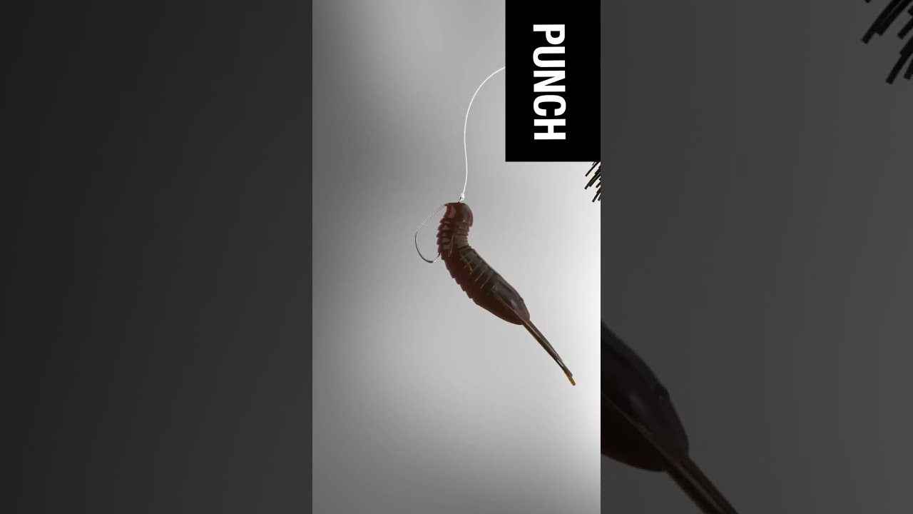 10 soft plastic bass rigs you need to know for largemouth or smallmouth fishing. @BigBiteBaits