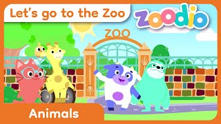 Let’s go to the Zoo Song | Zoodio | Animals and Wildlife Music for Kids