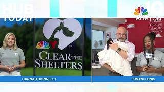 Ready, set, Clear the Shelters with The Hub Today!