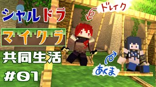 ドーラ、Youtube、ライブ、live、ユーチューブ