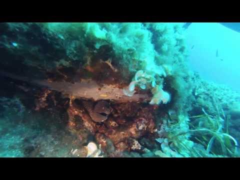 La Revellata (Calvi,