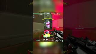 500 Iq Raze Çantasıyla Neona Şok