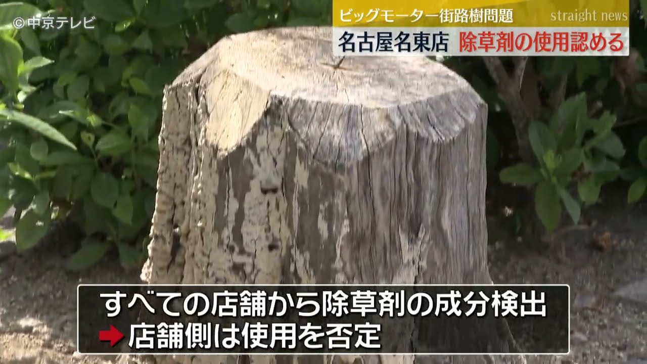 除草剤】名古屋名東店が除草剤の使用認める 「ビッグモーター」街路樹