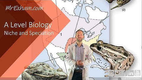 Niche and speciation - A Level Biology