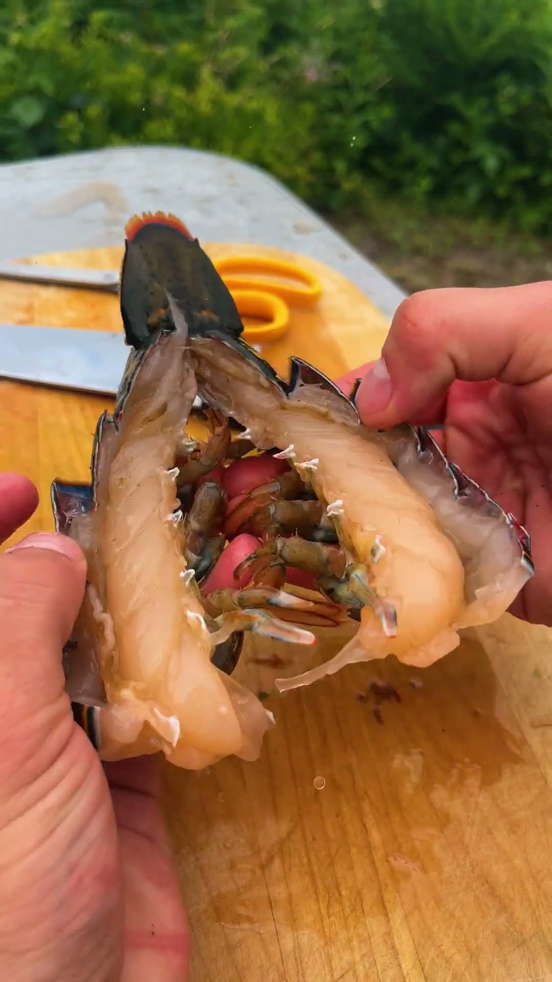 Grilled Lobster Tails