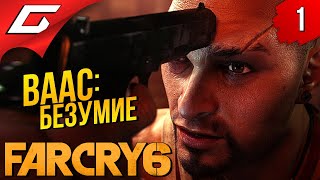 Mortal Kombat Я УЖЕ ГОВОРИЛ ТЕБЕ ЧТО ТАКОЕ БЕЗУМИЕ FAR CRY 6 VAAS Insanity Прохождение 1