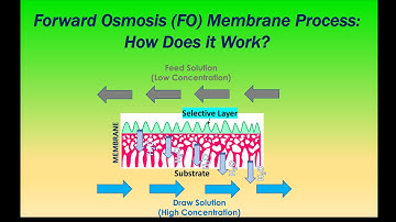 Forward Osmosis (FO) Membrane Process: How Does it Work?