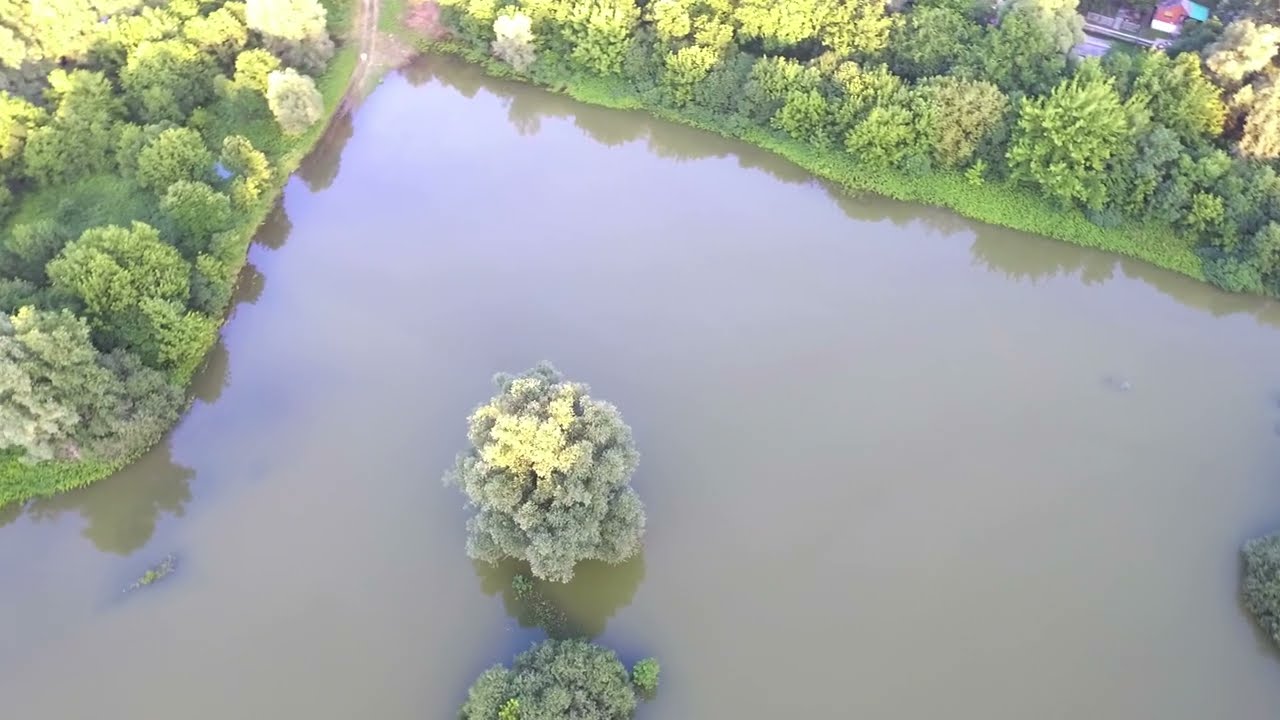 Mohács és a sziget