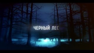 Черный лес Черный лес