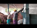 Video Image