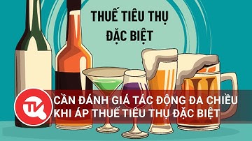 Cần đánh giá tác động đa chiều khi áp thuế tiêu thụ đặc biệt | Truyền hình Quốc Hội Việt Nam