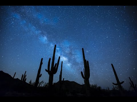 Sounds of the Desert | Night Time Desert Ambience | Sleep & Relax