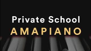 Private School Underground Amapiano Mix 2021 - November