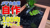 メダカを100均サラダボウルで作ったビオトープで室内飼育diy Japanese Medaka Youtube