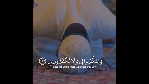 { فَاذْكُرُونِي أَذْكُرْكُمْ }  ‫#تلاوة_خاشعة‬ من سورة البقرة 🌿✨.