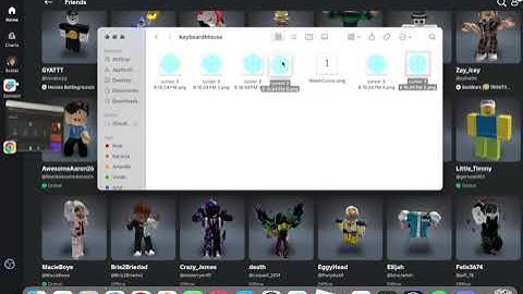 How to get a custom cursor on roblox on mac