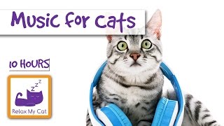 10 Hours of Cat Music OUR LONGEST YET! 10 Hours of Cat Music OUR LONGEST YET!