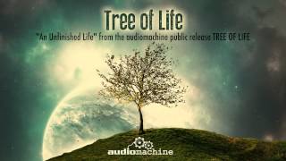 Video thumbnail of "Audiomachine - An Unfinished Life"