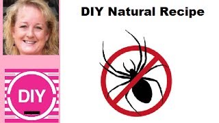 How to Make a Cheap Natural Spider Repellent