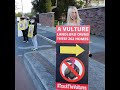 Irg vultures out protest in dundrum