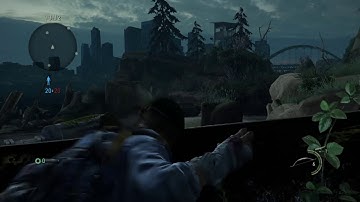 The Last of Us: Beach Glitch