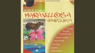 Video thumbnail of "Los Torrealberos - La Negra Encarnación"